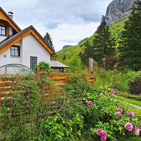 Ingreen House Apartment Bohinjska Bela Exterior photo