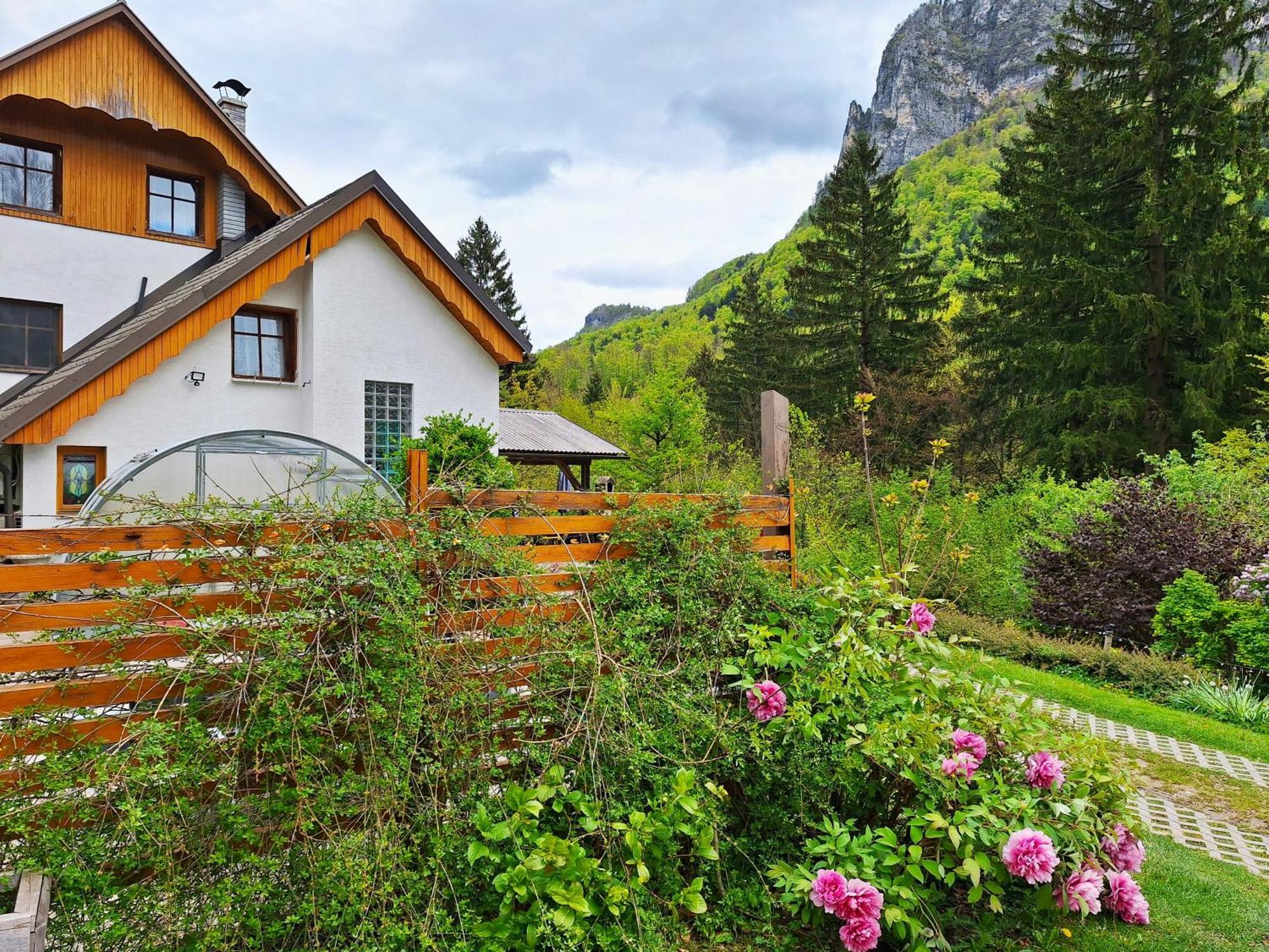 Ingreen House Apartment Bohinjska Bela Exterior photo